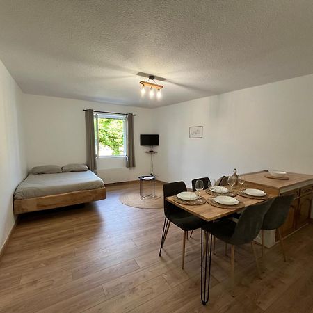 Apartamento "Le Caneton" Studio Hyper Centre Tout Equipee Sarlat Exterior foto